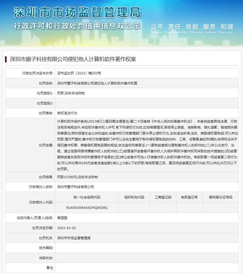 深圳市窗子科技侵犯他人計(jì)算機(jī)軟件著作權(quán)案的法律解讀與技術(shù)服務(wù)啟示