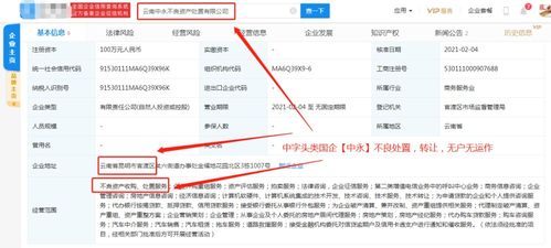 計算機軟件技術服務 驅動數(shù)字化轉型的核心動力